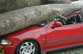 Car Wreck - Personal Insurance Coverage Car Wreck - Personal Insurance Coverage